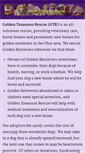 Mobile Screenshot of goldentreasuresrescue.org